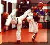 Black_Belt_Test.jpg (32986 bytes)