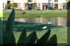 Christmas2007h.JPG (104851 bytes)